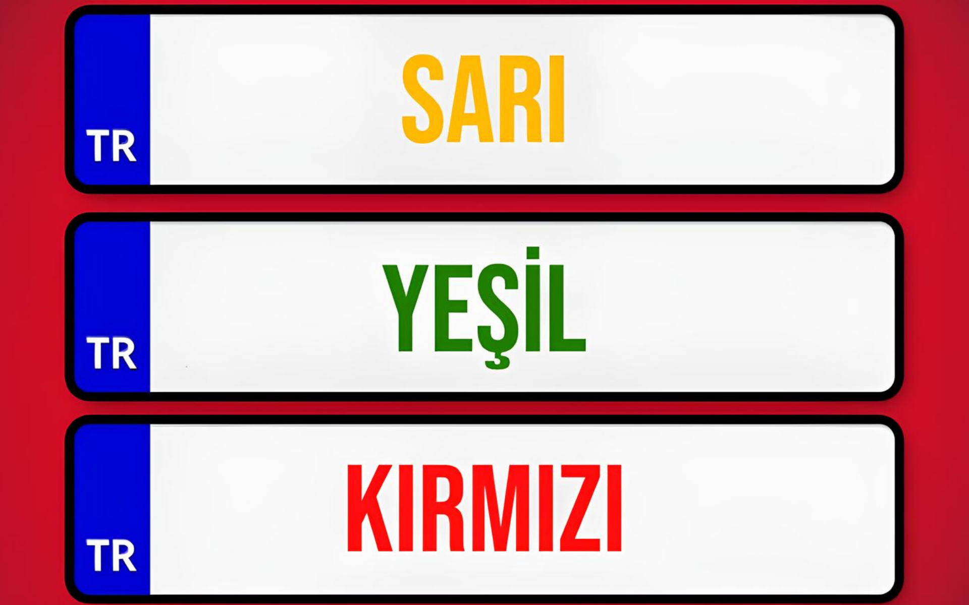 Plaka Renkleri ve Anlamları Nelerdir?
